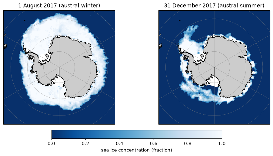 Two south polar stereographic maps of Antarctic sea ice concentration, one in austral winter with a wide ice ring and one in austral summer with much less ice